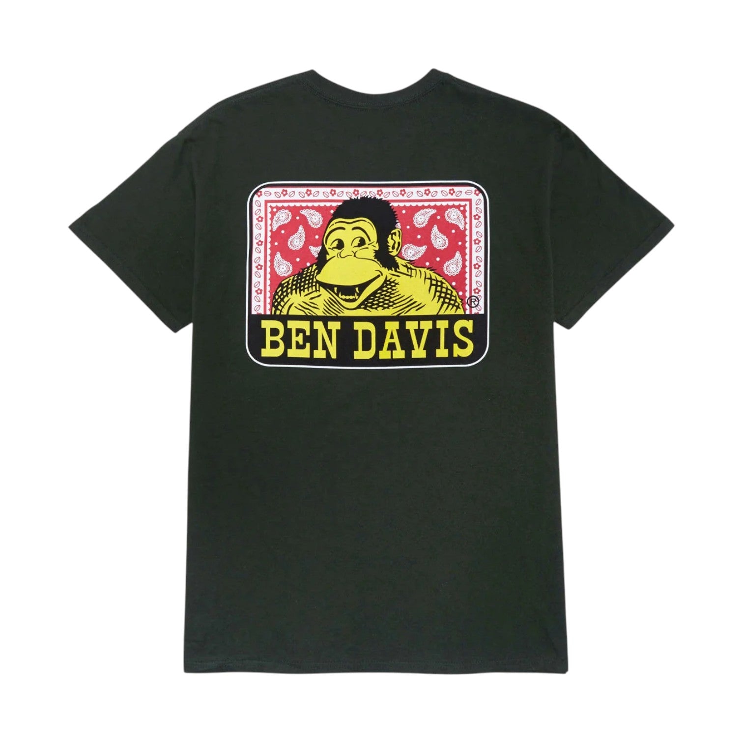 Ben Davis Paisley Tee - Green