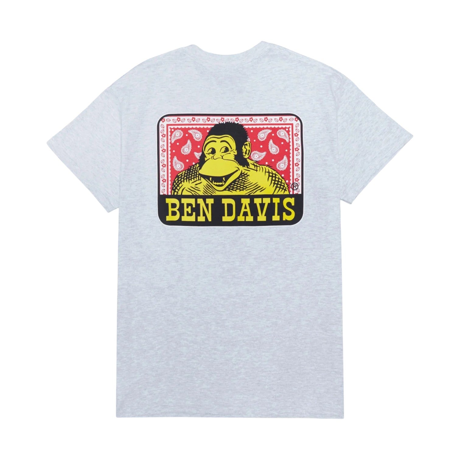 Ben Davis Paisley Tee - Ash Grey